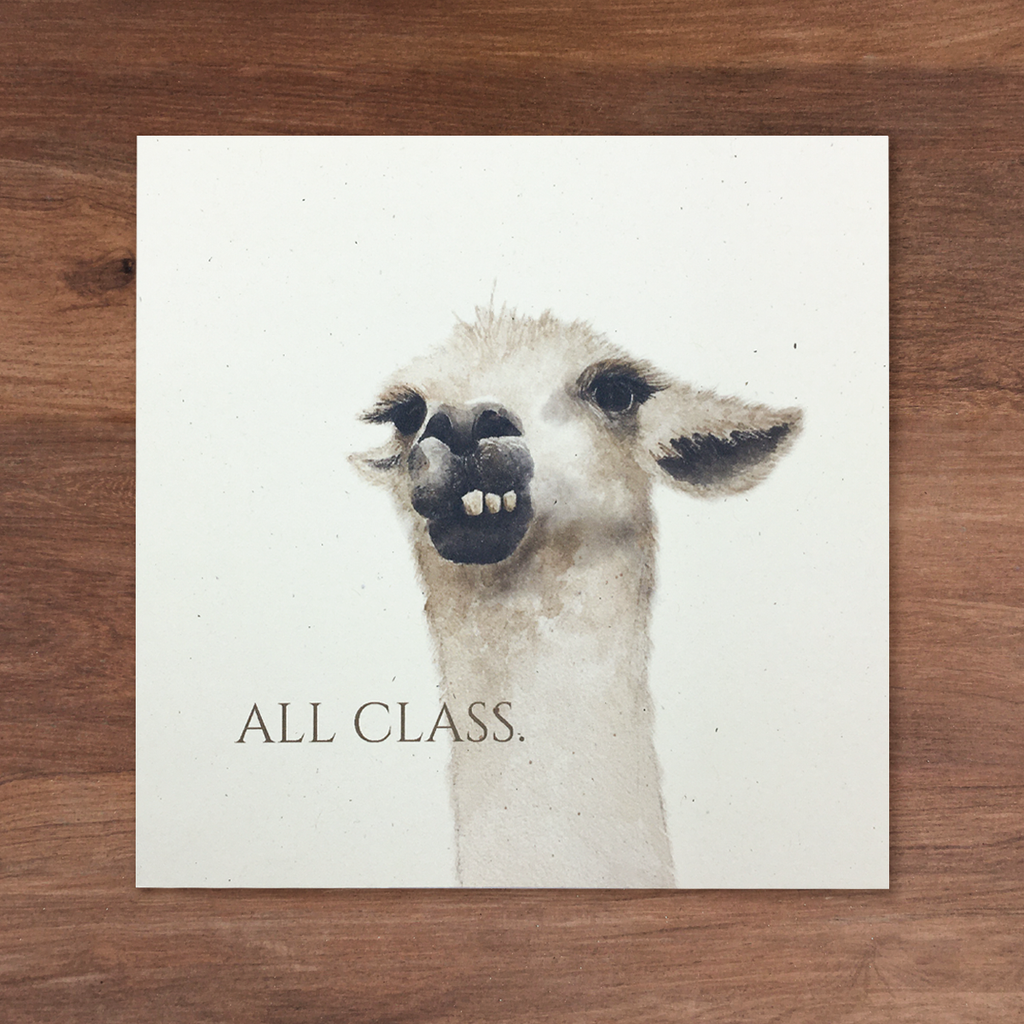 Magnificent Beasts - All Class Llama Greeting Card